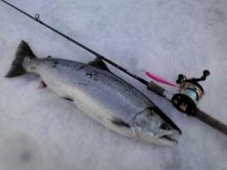 20110312085934.jpg