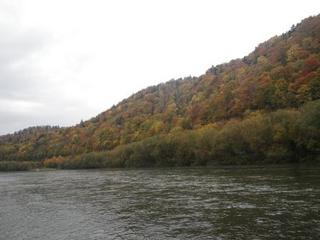 IMGP1667.JPG