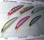 IMGP1810_t.jpg