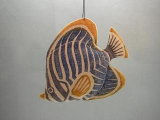 062 ミカドチョーチョー魚.JPG